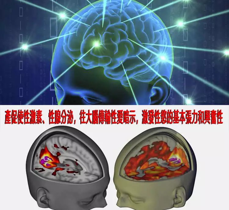 1677161522303903.jpg